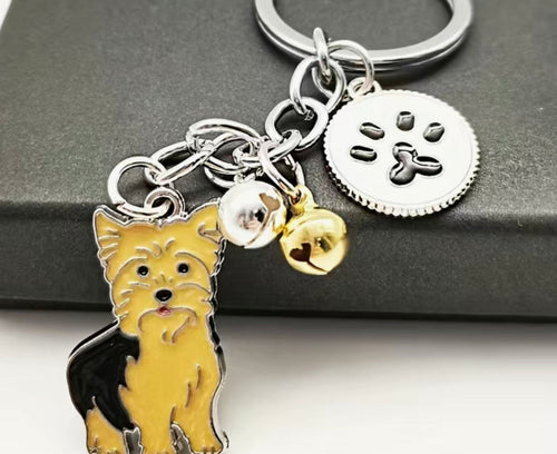 'JUST FOR ME & MY DOG' - Seeking Partners